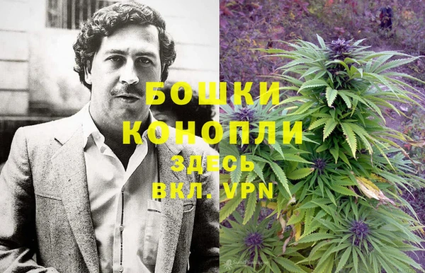 гидропоника Лагань
