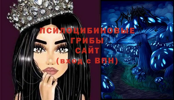гидропоника Лагань