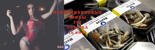 каннабис Лабытнанги